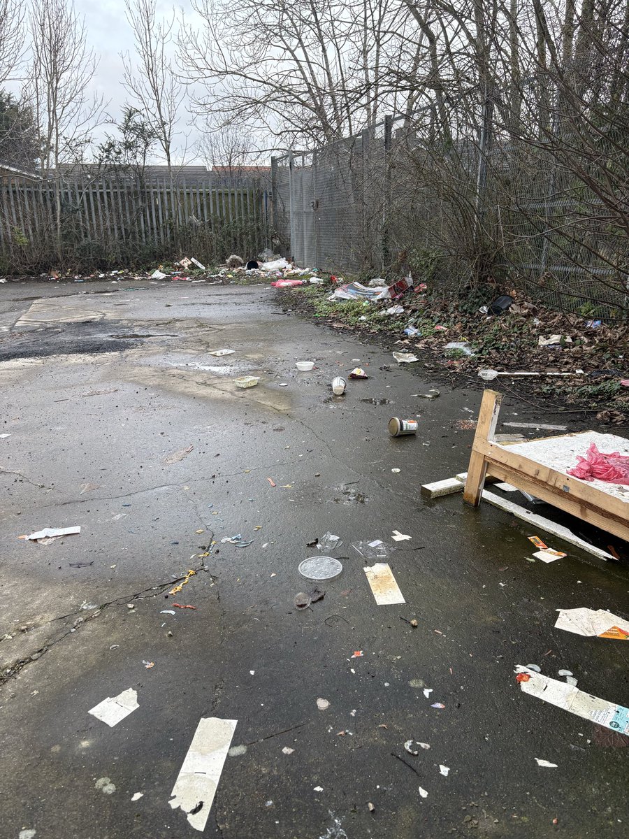 Jess Hobson tweet media