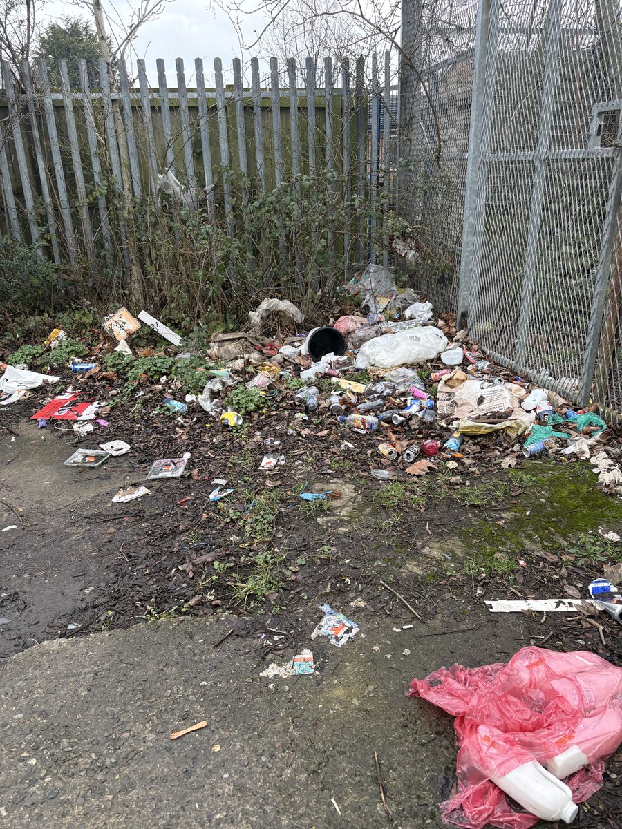 Jess Hobson tweet media