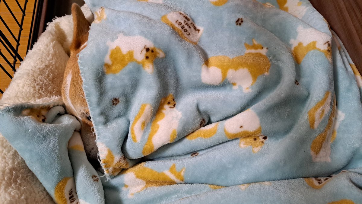 今日の夕空も綺麗だったので📸 三男のお嫁ちゃん今朝破水して入院中