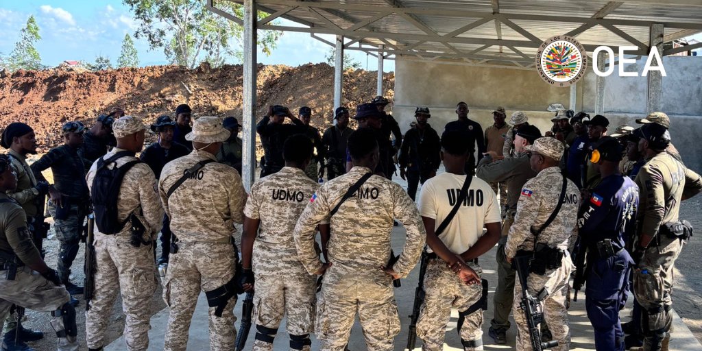 OEA - Seguridad Pública tweet media