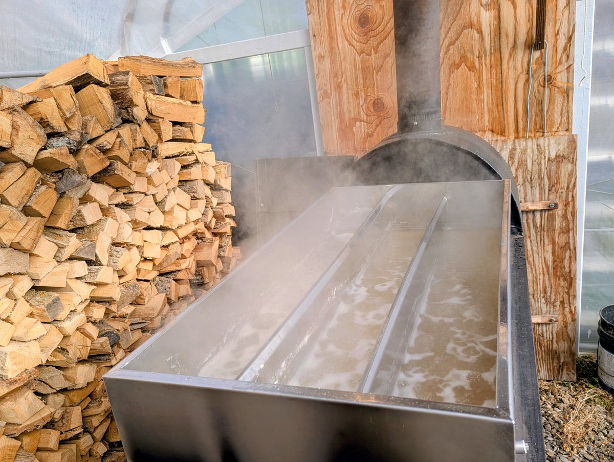 rutterfarms007's tweet photo. Taps went well. Sudden shift in temps made for a good run. Over 50gallons in total. Not a bad start 😊
(This year the Silver Maple and the Black Walnut sap were mixed. Makes for a nice, caramel, deep colored syrup)#maplesyrup #sapseason #sugarshack #silvermaple #blackwalnut https://t.co/YCdXkLQK6v