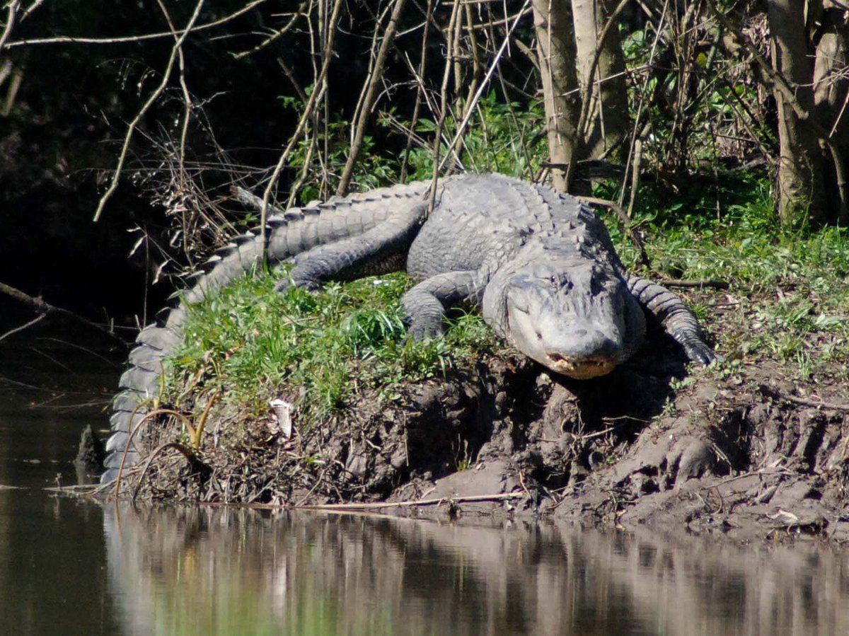 This is like half of my recent photos in the past couple of days. 
I'm such a stereotypical cringe tourist guys I'm sorry 😅😫