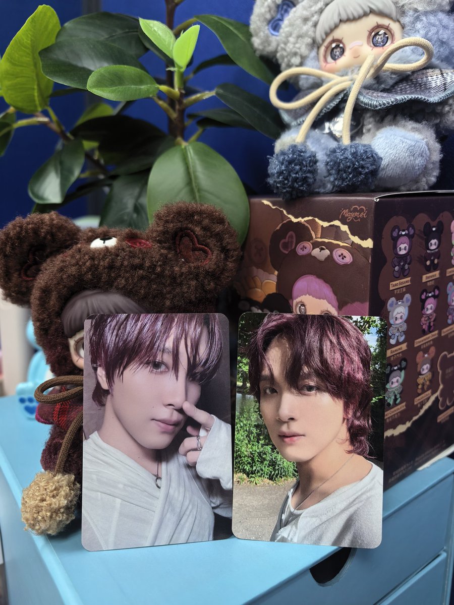 thanks much <a href="/O82cart/">syd!</a> for these cuties &amp; the many freebies 🥹🐻☀️🌻 #HAECHAN #NCT #HAECHAN_TASTE 🩷🩷🩷