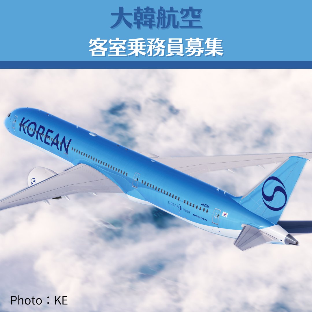 KOREAN AIR 大韓航空　客室乗務員　バッグ KOREAN AIR 大韓航空 客室乗務員 バッグ KOREAN AIR 大韓航空 客室