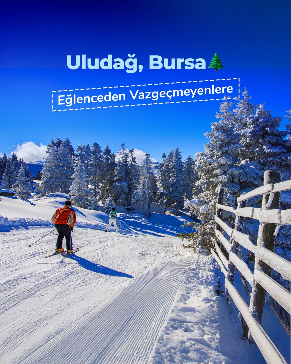 Yolcu360 tweet media