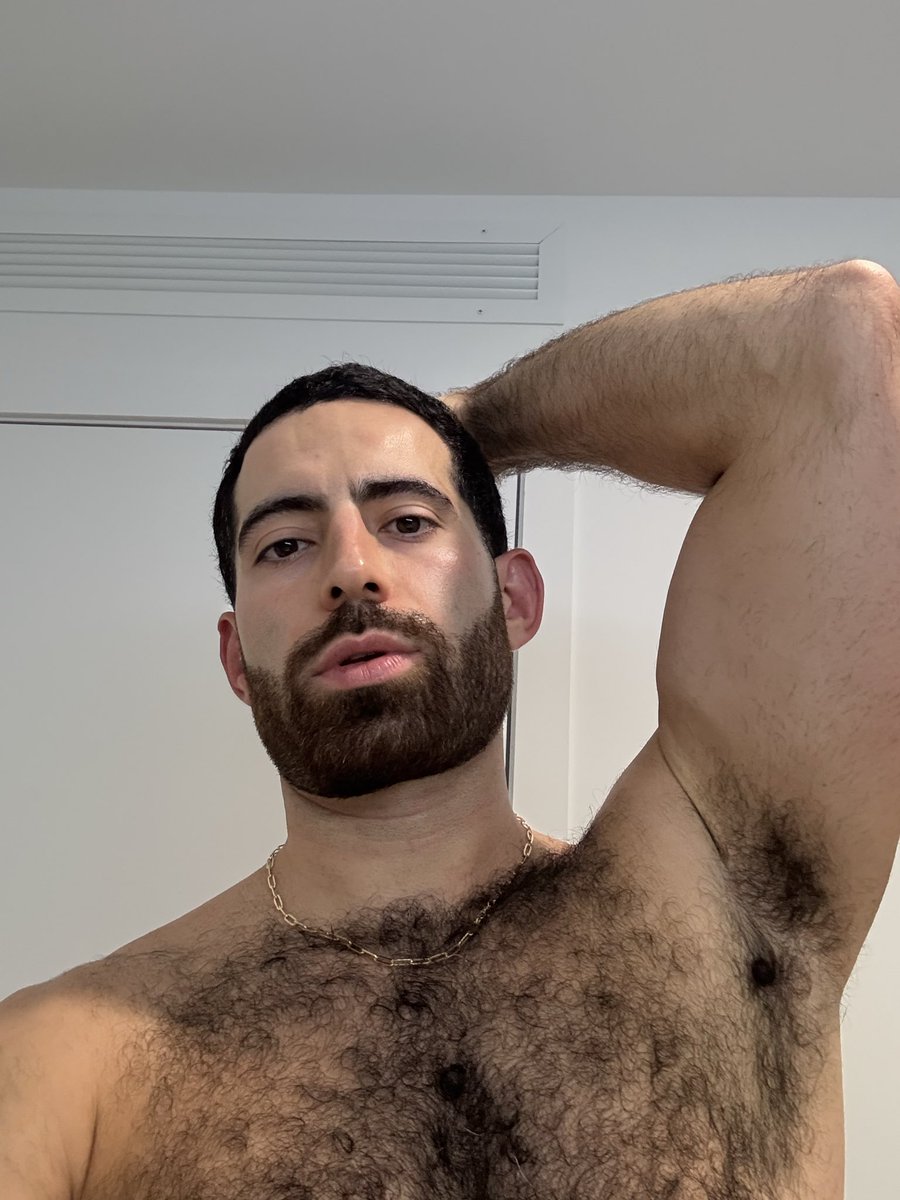 Farhad Mashhad tweet media