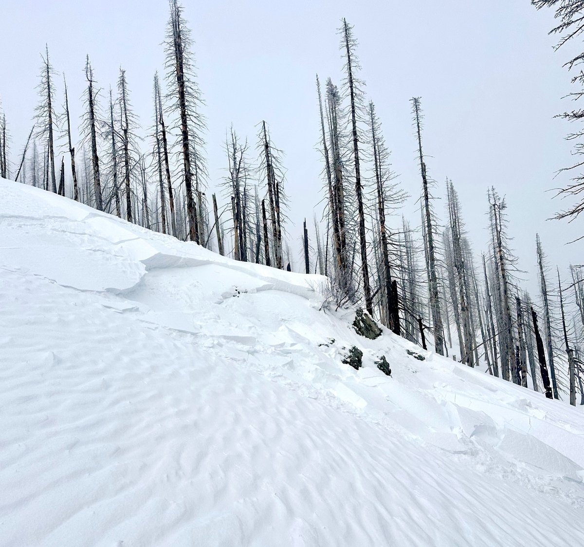 A Special Avalanche Advisory has been issued through this weekend. Unusually dangerous avalanche conditions exist. Triggering a 2 to 3-foot slab avalanche is likely. Remotely-triggered avalanches are common.