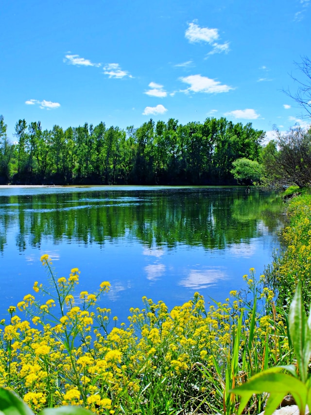 みる@フォロバ99 tweet media