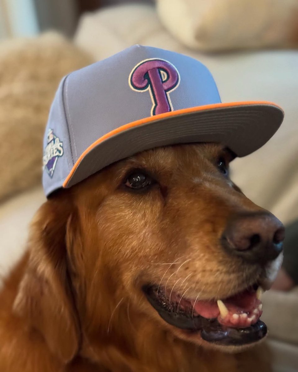 Harper says "Lets go Phil's!"