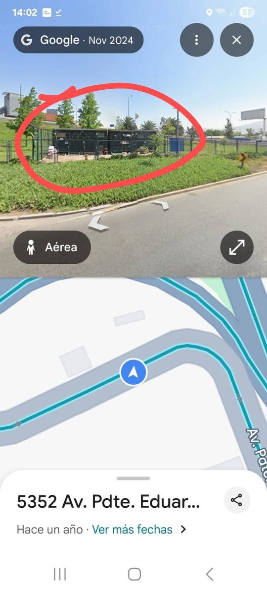 Patty 🐾❤️ tweet media