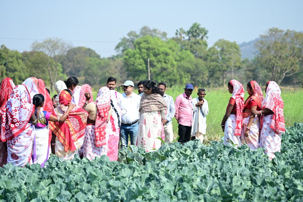 DMF Kendujhar tweet media