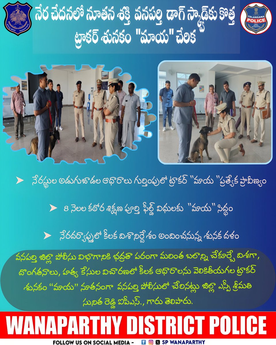 SP WANAPARTHY tweet media