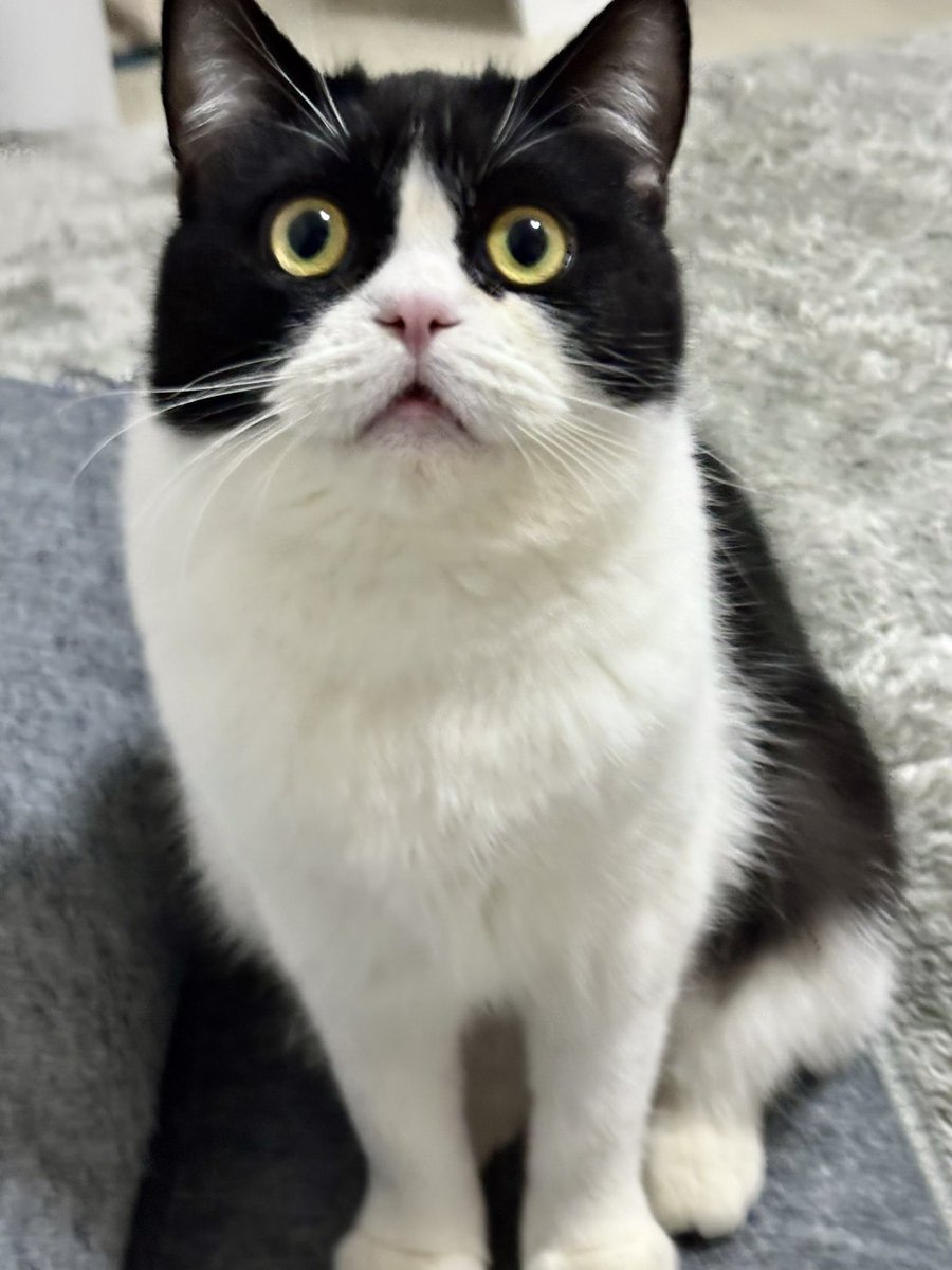 ねむちゃん (@nemuran616) on X