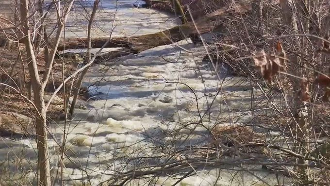 FeorenzoLisa's tweet photo. 'Remnants of sewage' including toilet paper, left behind after wastewater pipe collapse https://t.co/aCPjenXdHY
Sewage Cleanup Chicago, Evanston, Skokie, Wilmette, Glenview, Northbrook, Deerfield, Lake Forest, Highland Park, Barrington
https://t.co/qTbD5FX69P
#sewagecleanup https://t.co/jRNsvgegyg