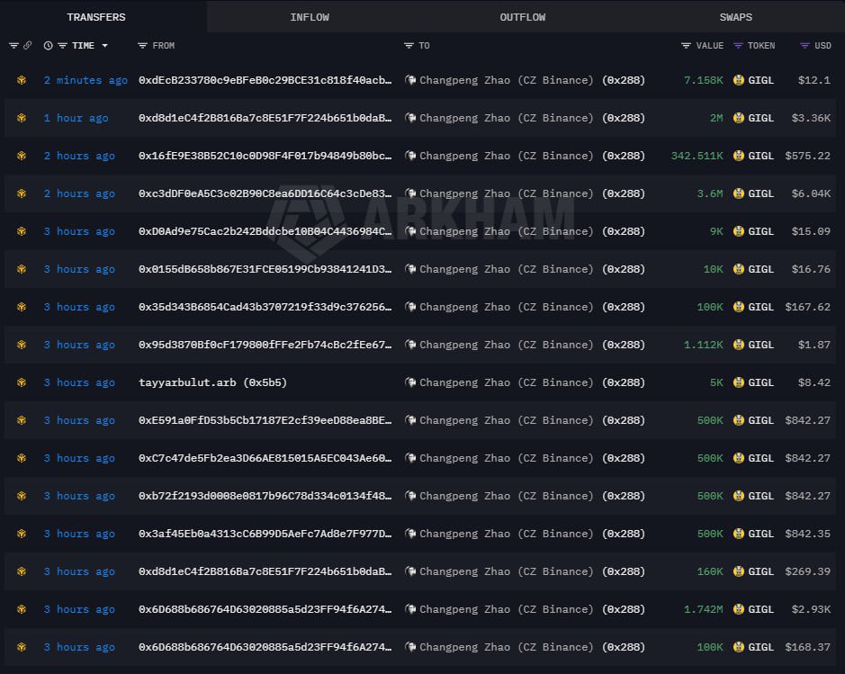 This is the cheapest price I’ve seen $GIGL trade at since the run to $6M. 

I expect to see a reversal anytime soon; trust the team is cooking something up behind the scenes. 

I saw some community members donate tokens to CZ’s wallet to support the Giggle Academy mission of