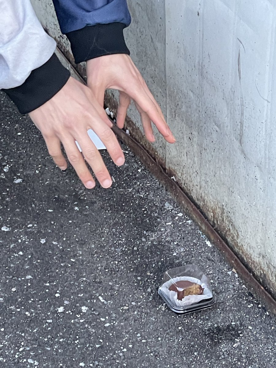 [🦈]

오늘도 덕분에 행복했어요 에어 🩵
날이 계속 추우니까 따뜻하게 입고 다녀요!
(누가 버리고 간 두쫀쿠..)

#DROP #드랍 #GyuEon #규언