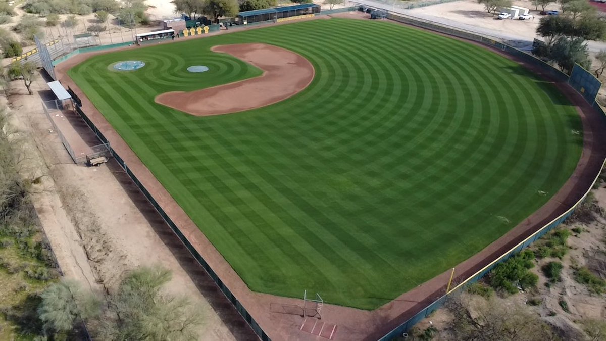 BaseballCDO's tweet image. One week away from Opening Day ⚾️
#DoradoStrong