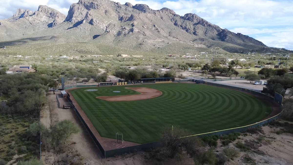 BaseballCDO's tweet image. One week away from Opening Day ⚾️
#DoradoStrong