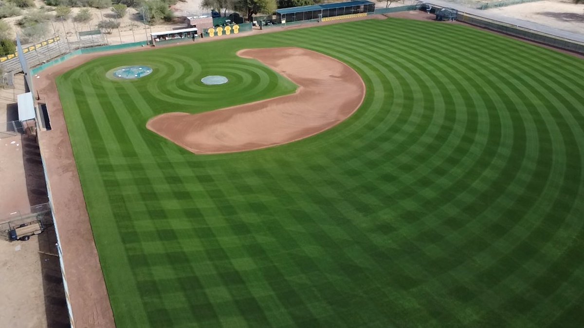 BaseballCDO's tweet image. One week away from Opening Day ⚾️
#DoradoStrong