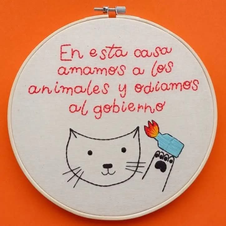 Dilo con gatitoz (@dilocongatitoz) on Twitter photo 