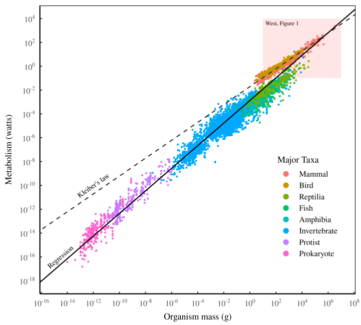 okay bahas statistik-sains dikit2 dulu...

mau STEM, atau SOSHUM, sebagian besar jurusan belajar lah ya teknik kuantitatif, regresi linear - atau mencari korelasi data dengan persamaan garis lurus.

tapi ada satu konsep yg menurut aku penting, yang jarang diajari, 

yg secara