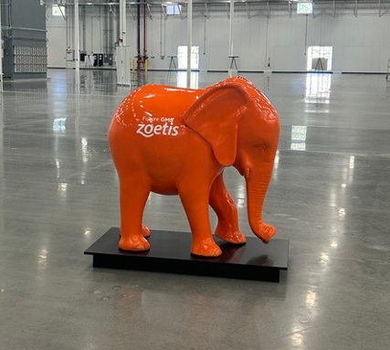 elephantintheroommovement tweet media