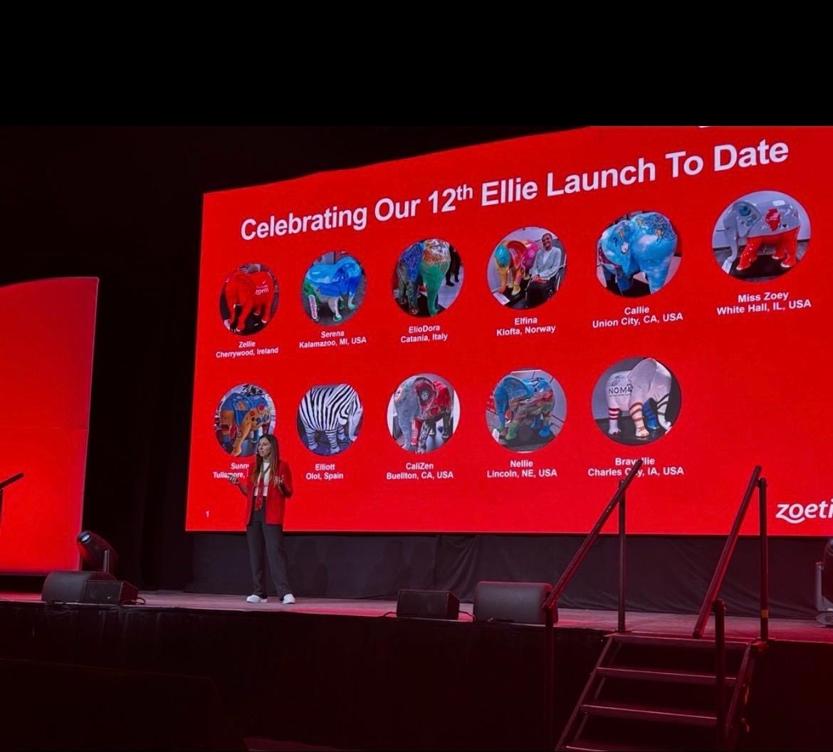 elephantintheroommovement tweet media