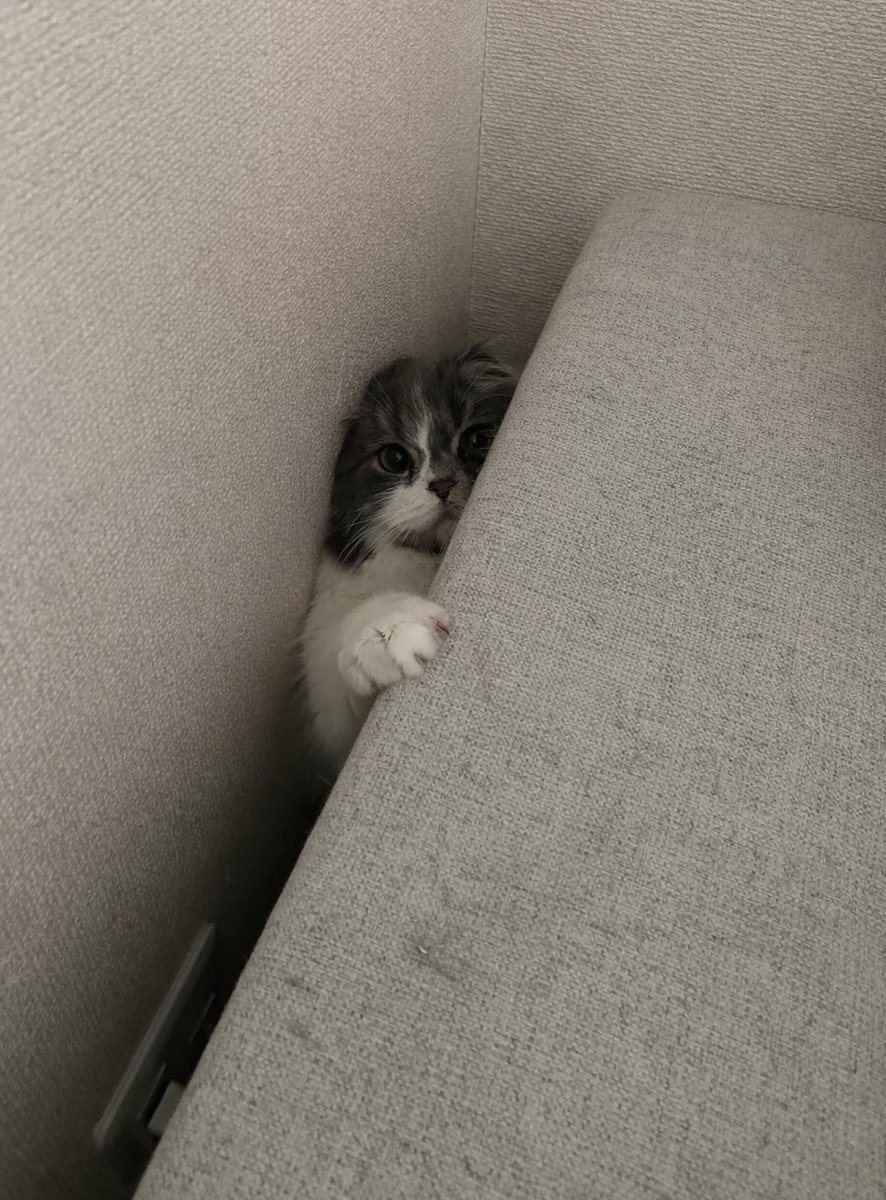 ちゃむママ (@mirei5799) / Posts / X