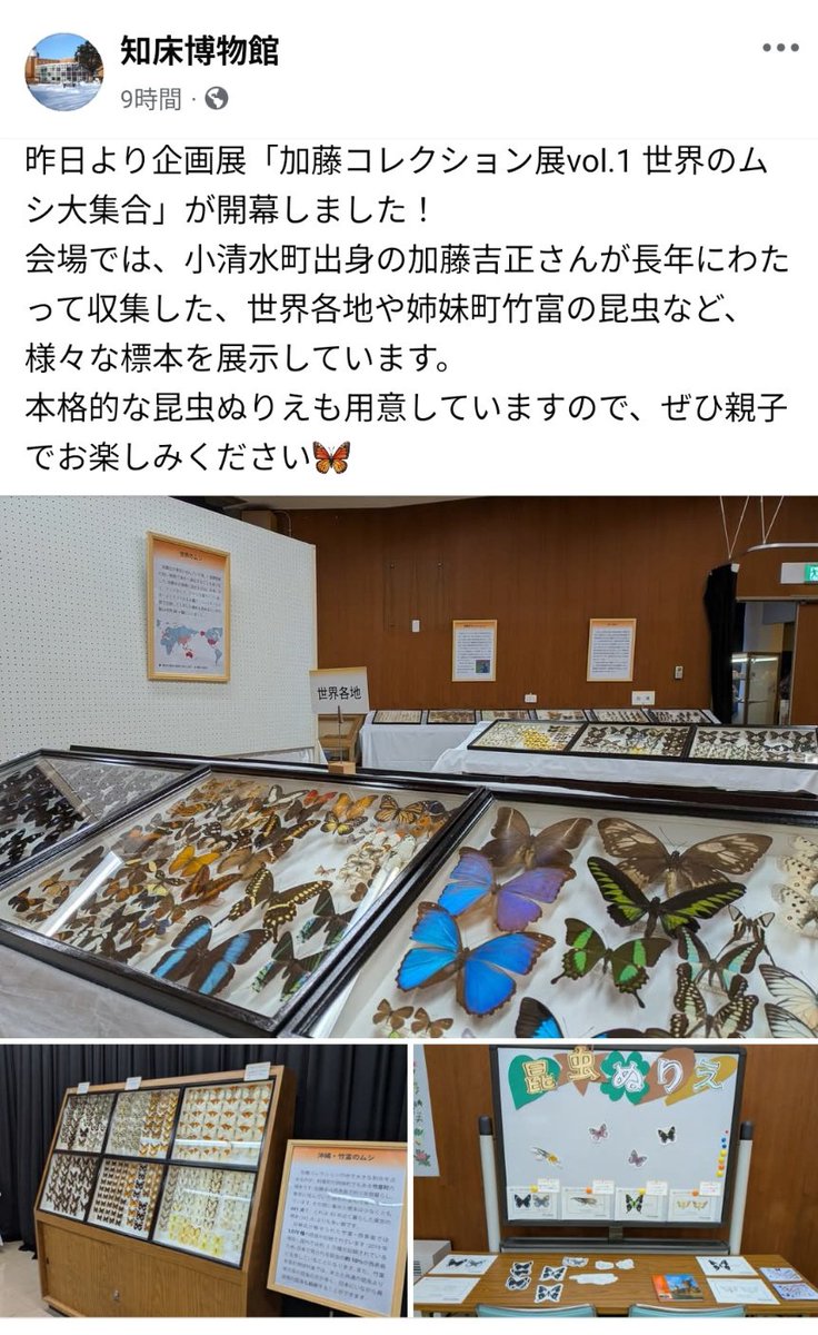 翡翠 (@matcha_taste) / Posts / X