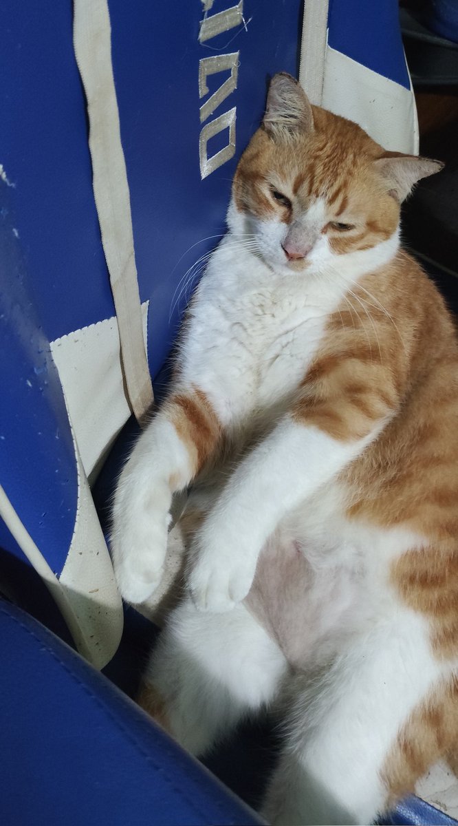 Nightlands tweet media