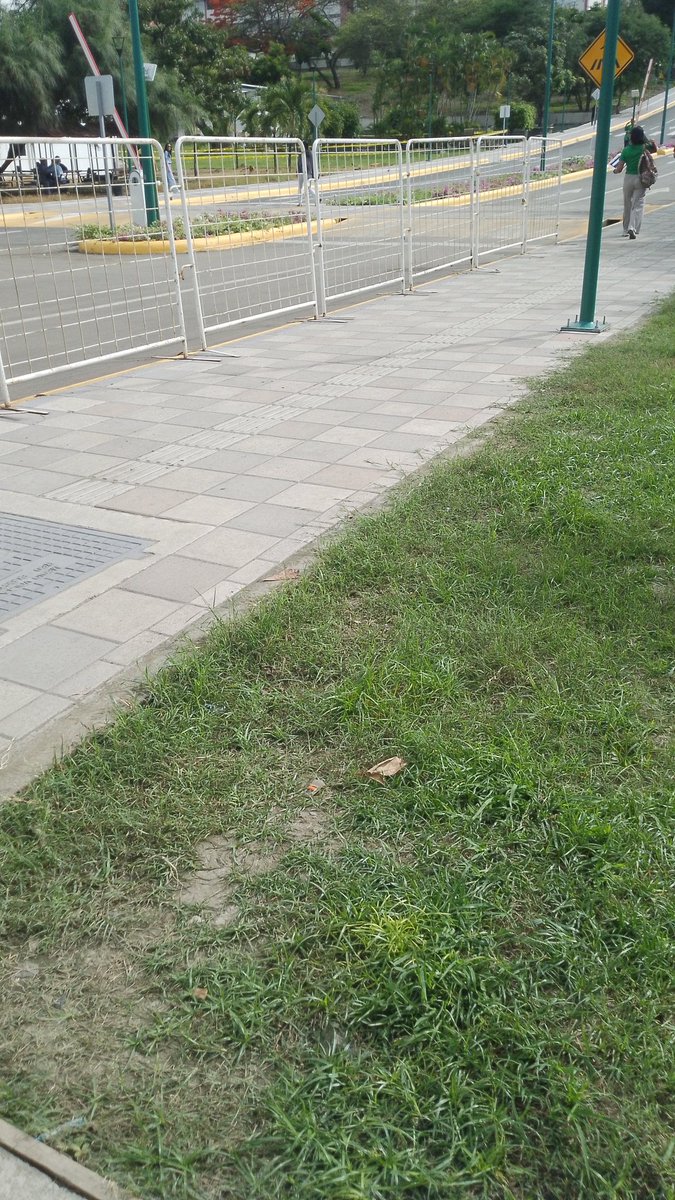 Vamos por esos mil puntos loco