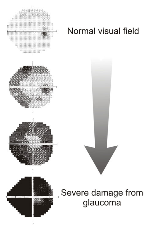 د. فيصل الراشد tweet media