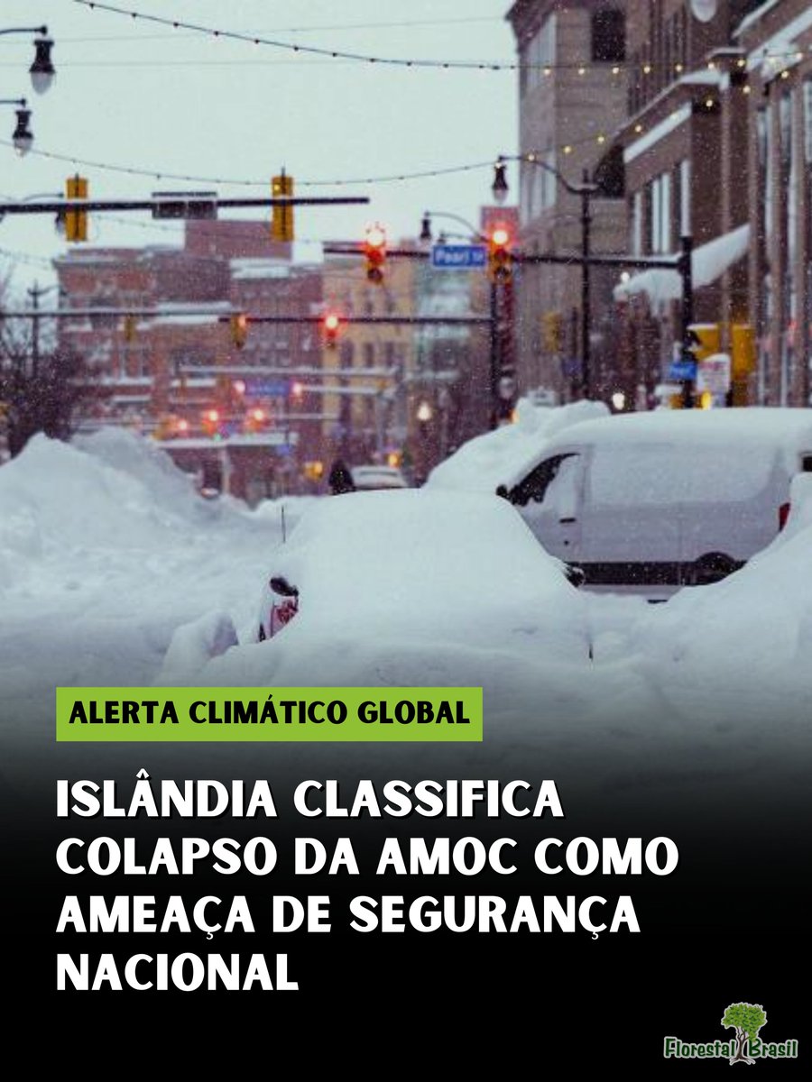 florestalbrasil's tweet image. O governo da Islândia tomou uma decisão geopolítica e científica sem precedentes: incluiu oficialmente o possível colapso da Circulação Meridional do Atlântico (AMOC) em sua estratégia de segurança nacional. 

A medida reflete o crescente consenso científico de que um dos