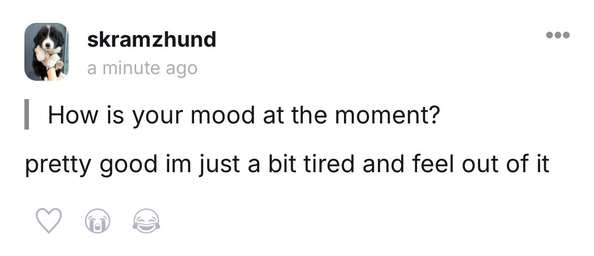 tellonym.me/skramzhund