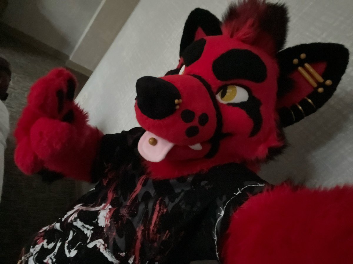 shinigami 🔜 SacAnime tweet media