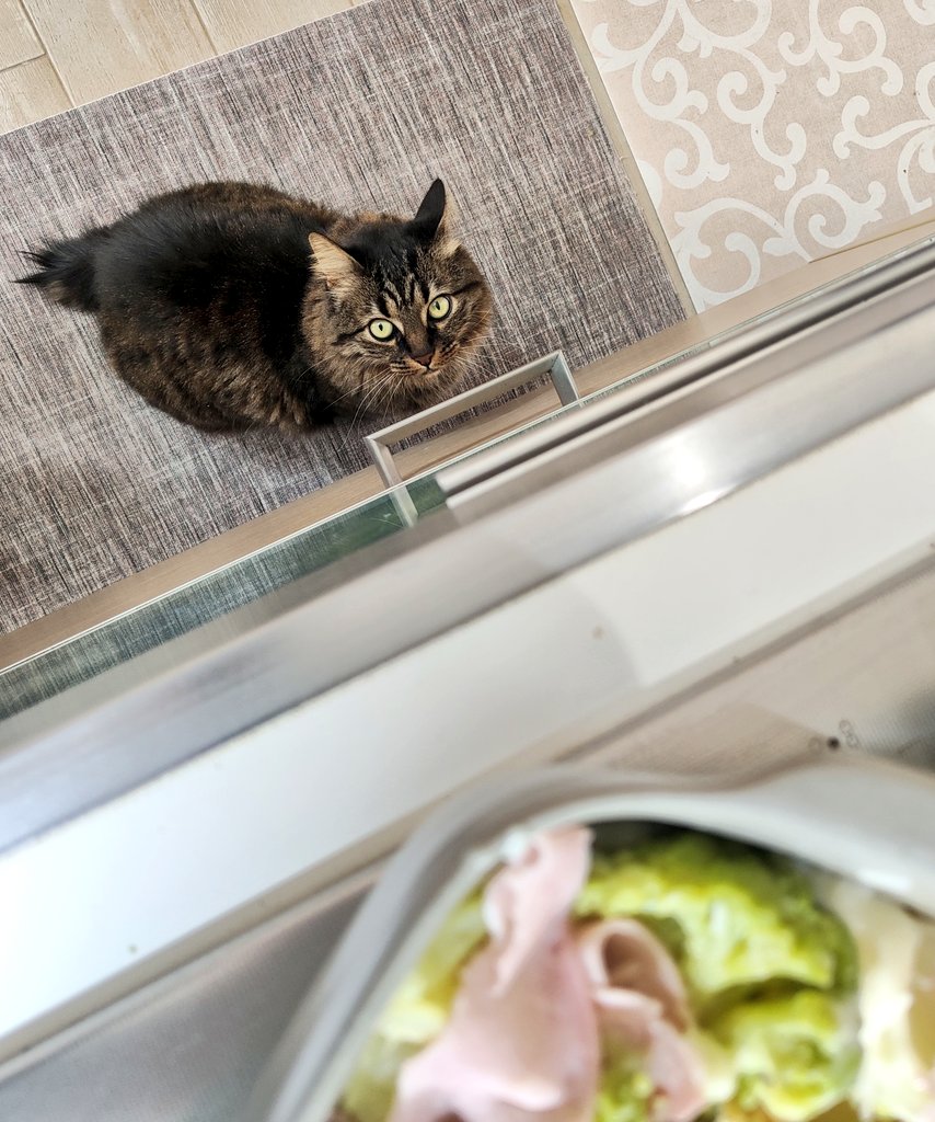 N_i_c_o_la's tweet image. Attese.

#marla