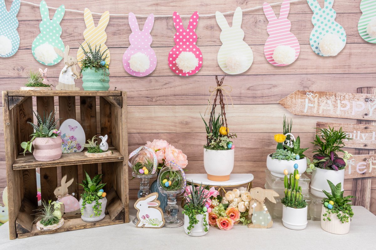 🌸🐰 Easter is right around the corner…
Now’s the time to bring in bright, giftable arrangements for your spring displays. 
Available now! 😊

#ColasantiFarms #ColasantiFarmsLtd #EasterWholesale #SpringPlants #RetailDisplay #GardenCentre #WholesalePlants