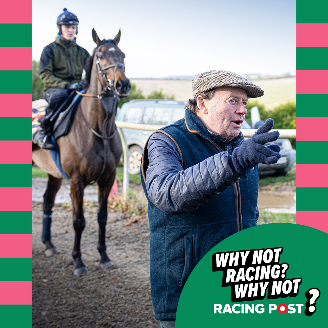 Racing Post tweet media