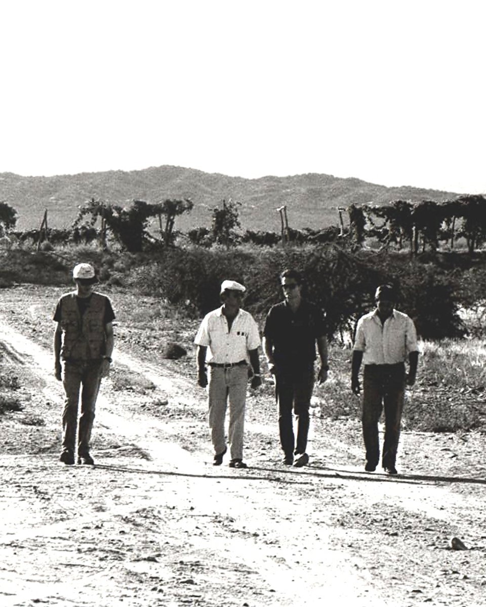 Altos Las Hormigas tweet media