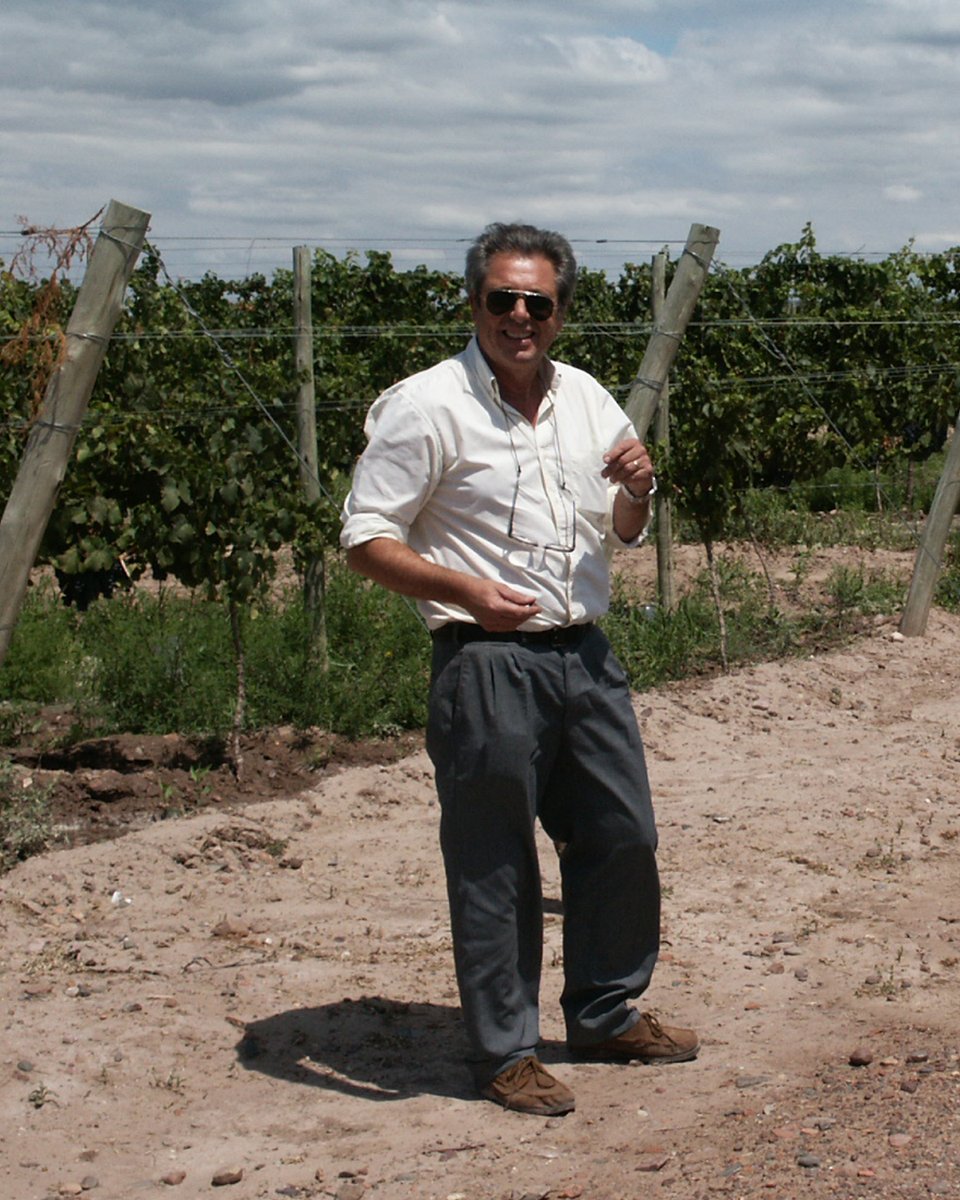 Altos Las Hormigas tweet media