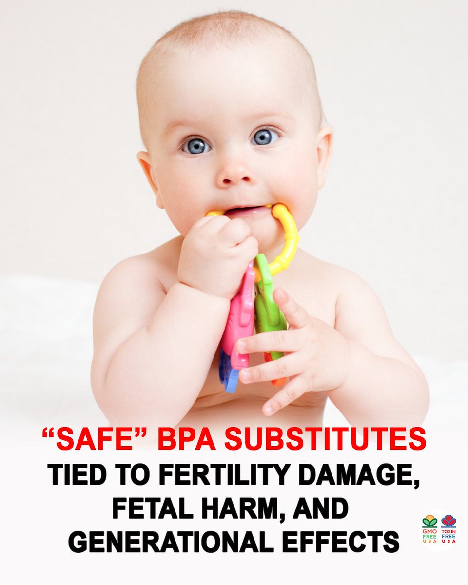 GMOFreeUSA's tweet photo. "‘Safe’" BPA substitutes have been tied to fertility damage, fetal harm, and generational effects, a review published in Archives of Medical Research has found.

Concerns about BPA have led some manufacturers to phase it out and replace it with structurally similar compounds, most commonly bisphenol S (BPS), bisphenol F (BPF) and bisphenol AF (BPAF). While BPA exposure has declined, BPS and BPF use is rising, especially in North America and Asia.

The review found that these BPA substitutes—widely used in plastics, processed food and food packaging, children’s toys, and paper receipts—can interfere with the same hormone systems and gene-regulation pathways that control reproductive development in both males and females.

The authors say analogues were introduced without sufficient evidence of their safety, and subsequent studies show they have adverse effects similar to BPA, warranting more scientific and regulatory scrutiny. BPA has been associated with impaired memory and learning, infertility, heart disease, stroke, metabolic disease, type 2 diabetes, preeclampsia, obesity, and cancer, studies show.