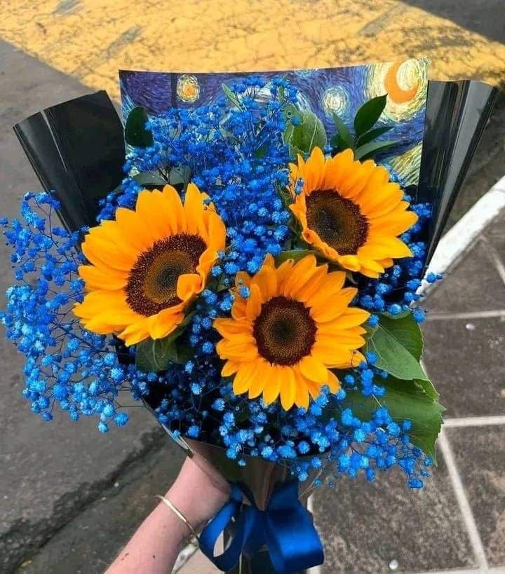 SUNFLOWER 🌻 tweet media