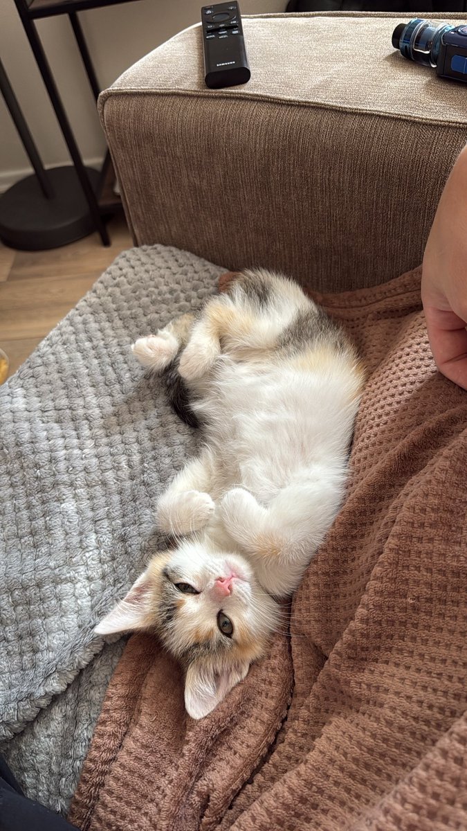 🥷🥷🥷 tweet media