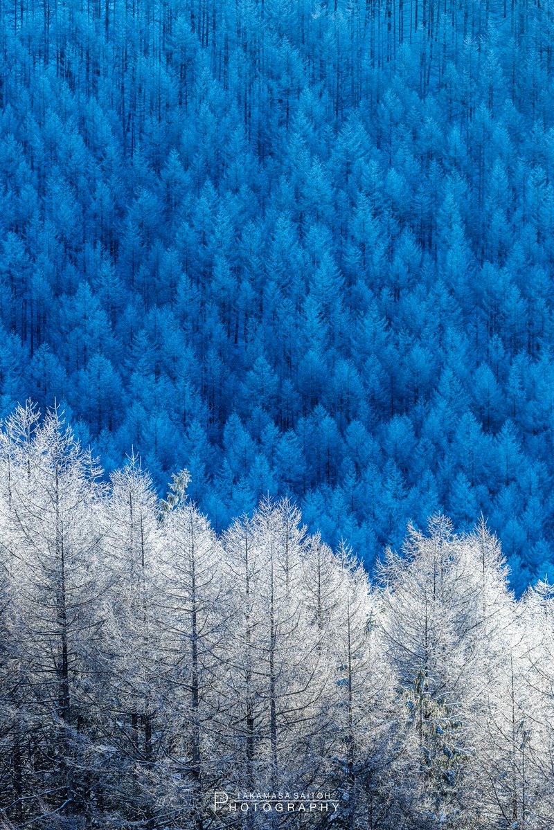 takamasa_saitoh's tweet image. 青と白の世界