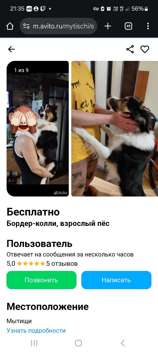 чеховское фоторужьё tweet media