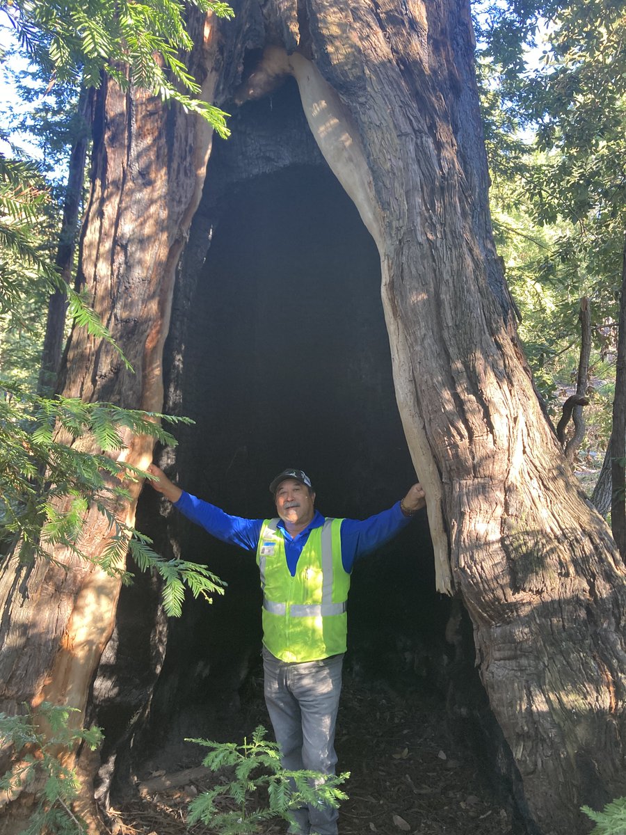 BrightView tweet media