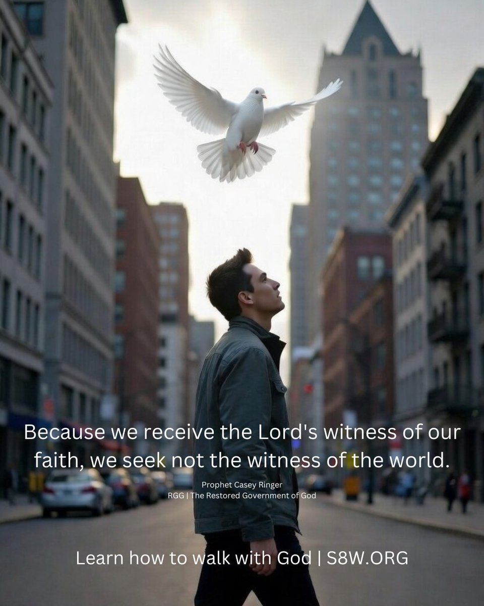 Prophet Casey Ringer tweet media