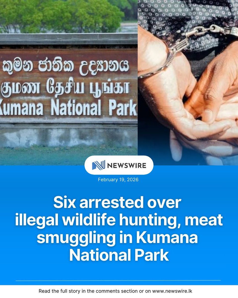 Special Task Force (STF) has arrested six people suspected of killing wild animals inside Kumana National Park and transporting the meat by boat for illegal sale on Wednesday (18).

STF Officers in Arugam Bay carried out the arrests during a series of raids based on intelligence