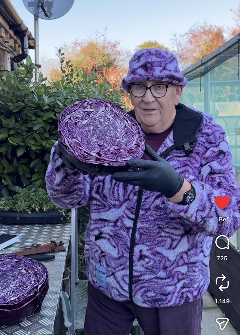 bişeyi sevince bizim suyunu çıkarış