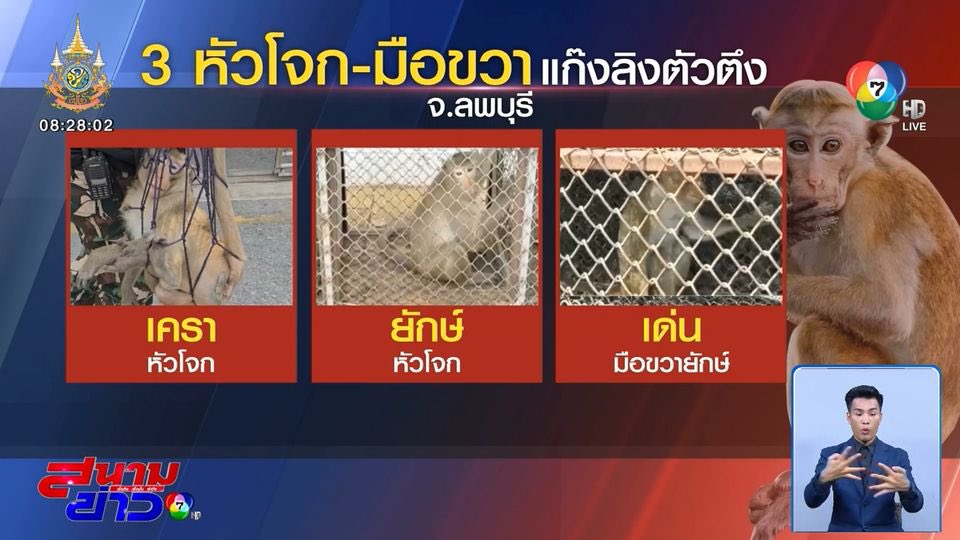 phingpink17's tweet image. มึงรออยู่ตรงนั้น